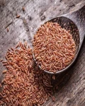 Red Rice