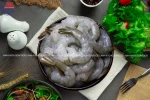 Raw PDTO Vannamei Shrimp