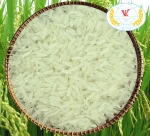 5451 Rice