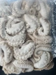 Frozen Cut Baby Octopus