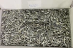 Dried Anchovies