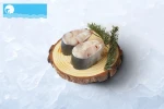 Pangasius Steak