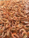 Dried HOSO Shrimp