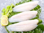 Frozen Pangasius Fillets