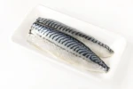 Norway Mackerel