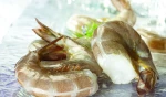 Raw Easy Peel Shrimp