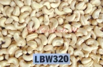 Vietnam Cashew Nut LBW320