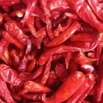 Dried Red Chillies