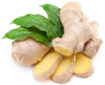 Ginger Root