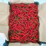 Vietnam Fresh Hot Red Chilli