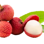 Fresh Lychee Dua Dua Exports