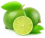 Fresh Lime Dua Dua Exports