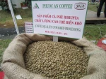 Unwashed Robusta Coffee Grade 1 Screen 1...