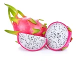 Dragon Fruit V-Argo