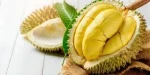 Durian - Ylang