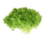 Organic Lolo Lettuce