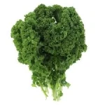 Organic Kale