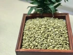 Robusta S16 Green Beans Coffee - Pull