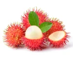 Thabi Rambutan